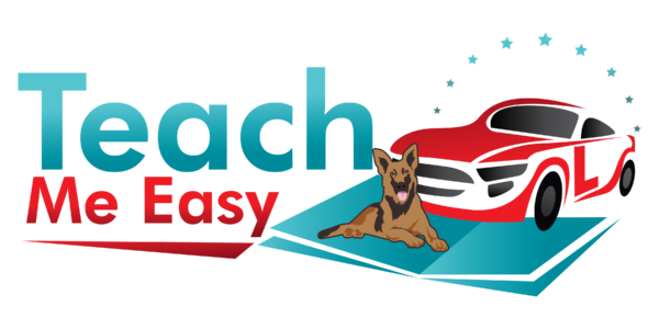 Teach Me Easy Driving School - Image 5
